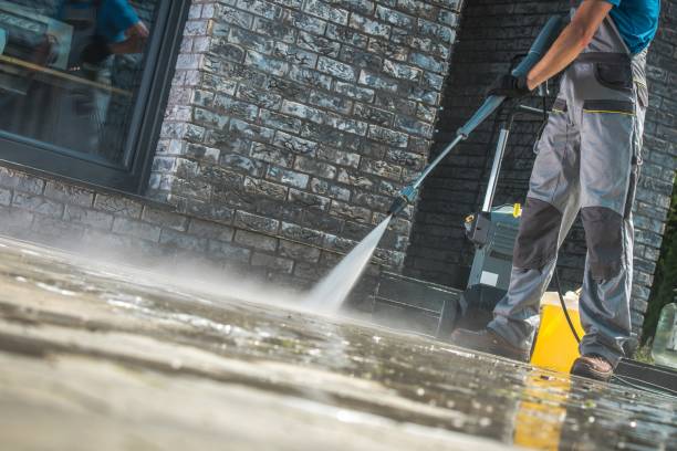 Best Animal Enclosure Cleaning  in Grosse Pointe Woods, MI