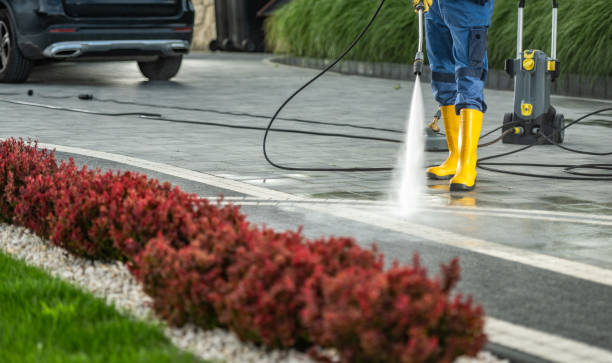 Best Fence Cleaning  in Grosse Pointe Woods, MI