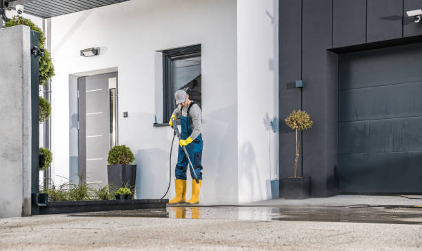 Pre-Holiday Cleaning in Grosse Pointe Woods, MI