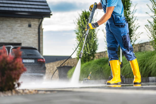 Best Gutter Cleaning  in Grosse Pointe Woods, MI
